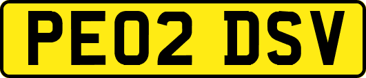 PE02DSV