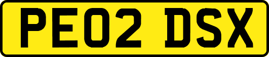 PE02DSX