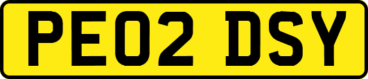 PE02DSY