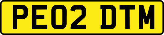 PE02DTM