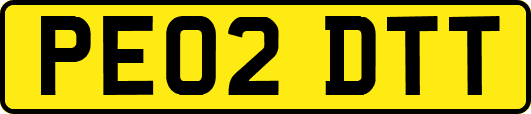 PE02DTT