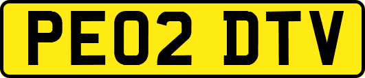 PE02DTV