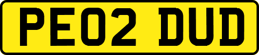 PE02DUD