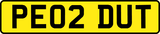 PE02DUT