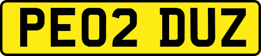 PE02DUZ