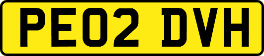 PE02DVH