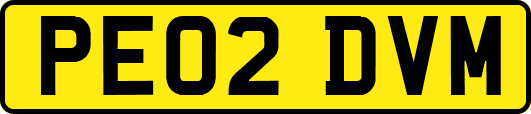 PE02DVM