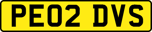 PE02DVS