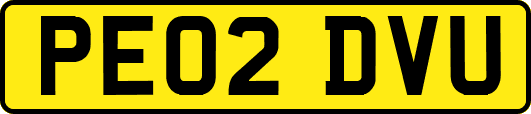 PE02DVU