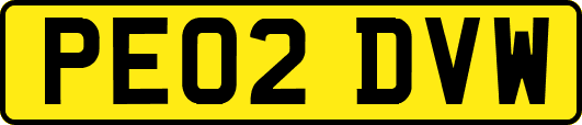 PE02DVW