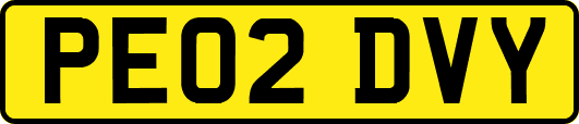 PE02DVY