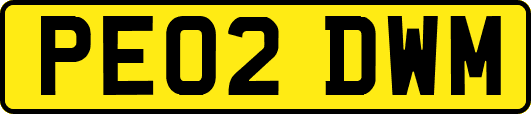 PE02DWM