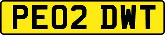PE02DWT