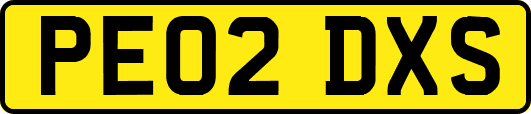 PE02DXS