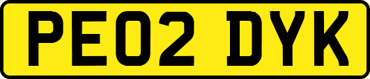 PE02DYK