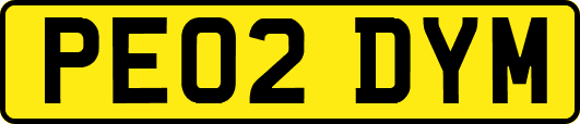 PE02DYM