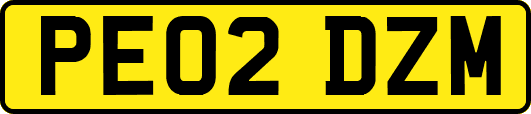 PE02DZM