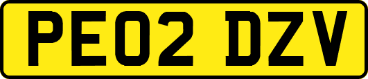 PE02DZV
