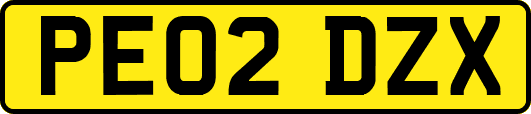 PE02DZX