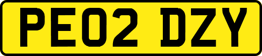 PE02DZY