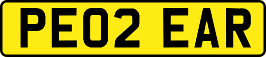 PE02EAR