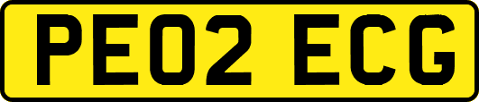 PE02ECG
