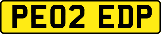 PE02EDP