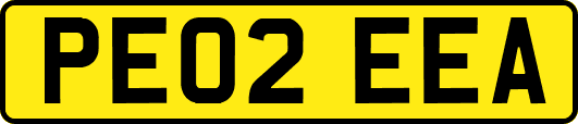 PE02EEA