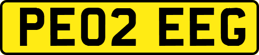 PE02EEG