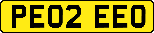 PE02EEO
