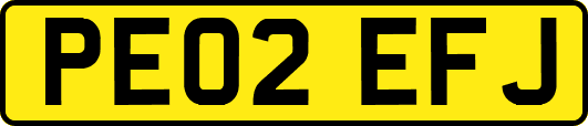 PE02EFJ