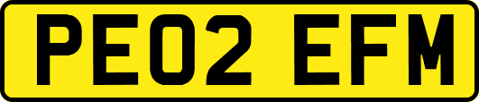 PE02EFM