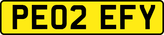 PE02EFY