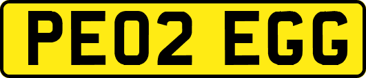 PE02EGG