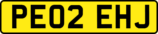 PE02EHJ