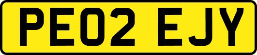 PE02EJY