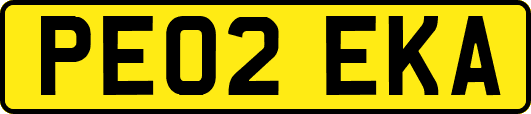 PE02EKA
