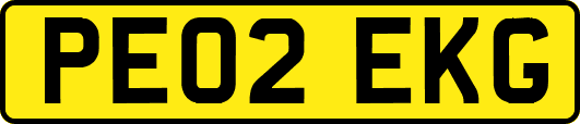 PE02EKG