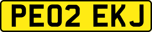 PE02EKJ
