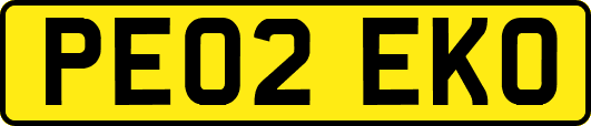 PE02EKO