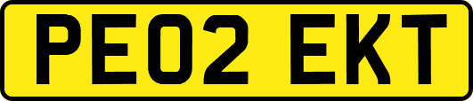 PE02EKT
