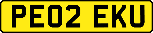 PE02EKU
