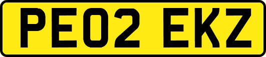 PE02EKZ