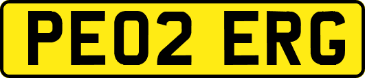 PE02ERG