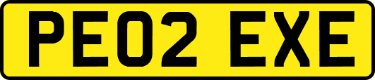 PE02EXE