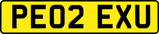 PE02EXU