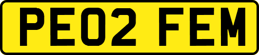 PE02FEM