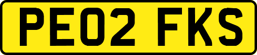 PE02FKS