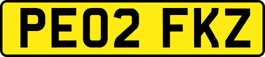 PE02FKZ