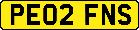 PE02FNS